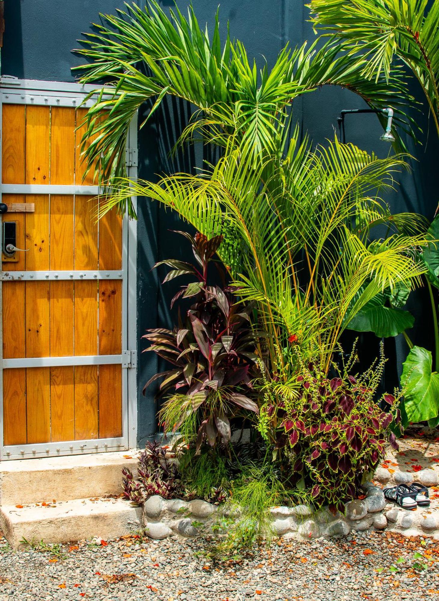 Hotel Mecca Puerto Viejo de Talamanca Esterno foto